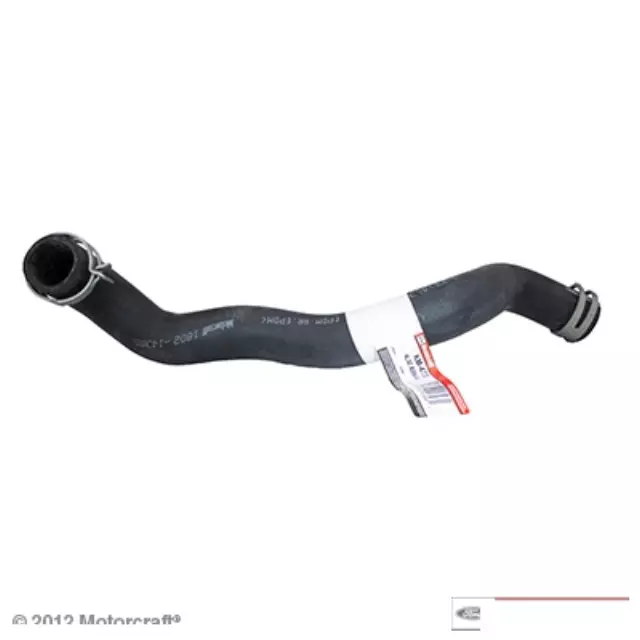 Lower Hose - Ford (4L3Z-8286-BC)