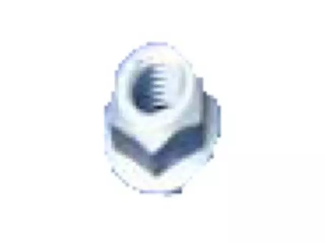 Nut Adjusting Screw - Ford (N620480-S437)
