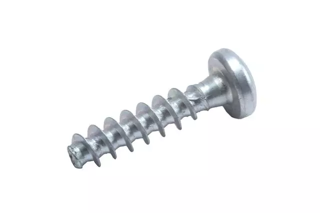 11588506 - : Pull Strap Screw for Buick: Rendezvous Image