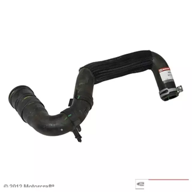 Lower Hose - Ford (6E5Z-8286-CA)