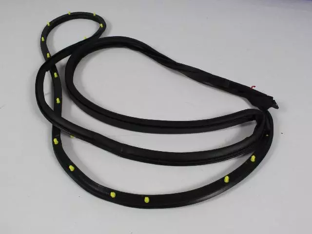 68040044AJ - : Front Door Mounted Weatherstrip, Right for Dodge: Charger Image