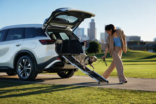 T99H46TA0B - : Pet Ramp for Infiniti Image