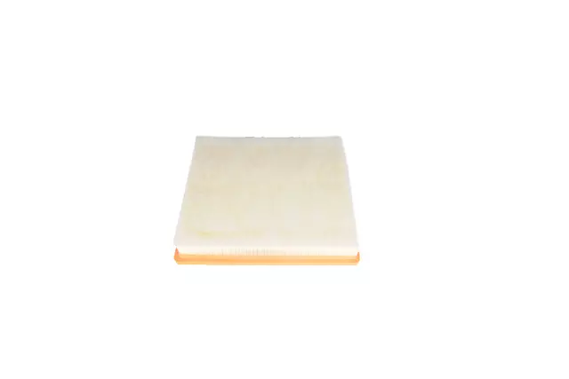Air Filter - GM (13319421)