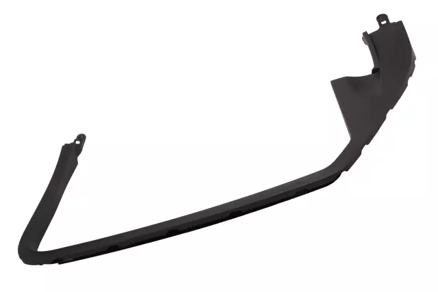 Driver Side Rear Door Garnish Molding - GM (23202691)