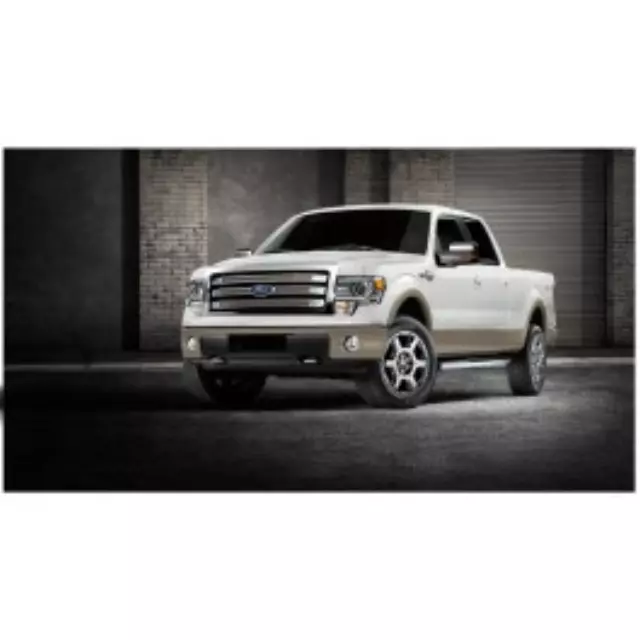 Grille Insert - Chrome Mesh - Ford (CL3Z-8200-BB)