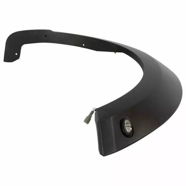 Molding - Ford (HL3Z-16038-AAPTM)