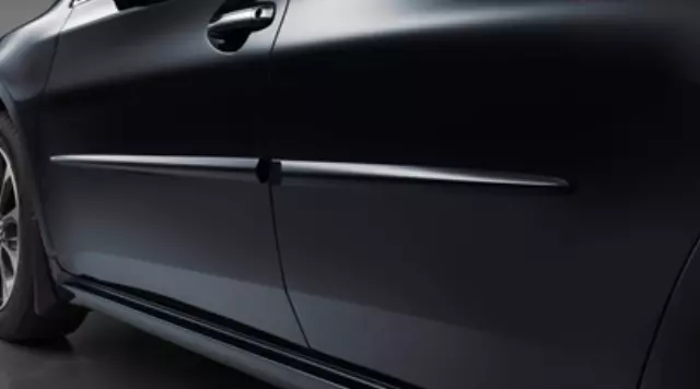 Molding, Body Side, Attitude Black Metallic - Toyota (PT29A-00140-02)