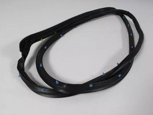 5074280AD - Doors, Door Mirrors and Related Parts: Rear Door Mounted Weatherstrip, Right for Mopar Image