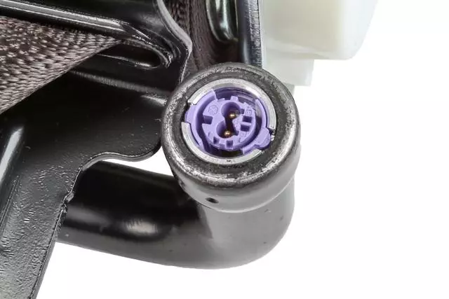 Cocoa Driver Side Seat Belt - GM (84494016)