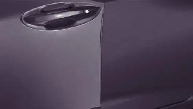 8P20TGV2B0A - : Guard Dr *PB92P* for Acura Image