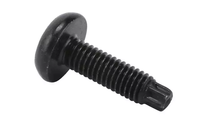 F (S)Bolt - GM (11548804)