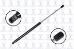 84572 - : Hood Lift Support for Focus Auto Parts Image