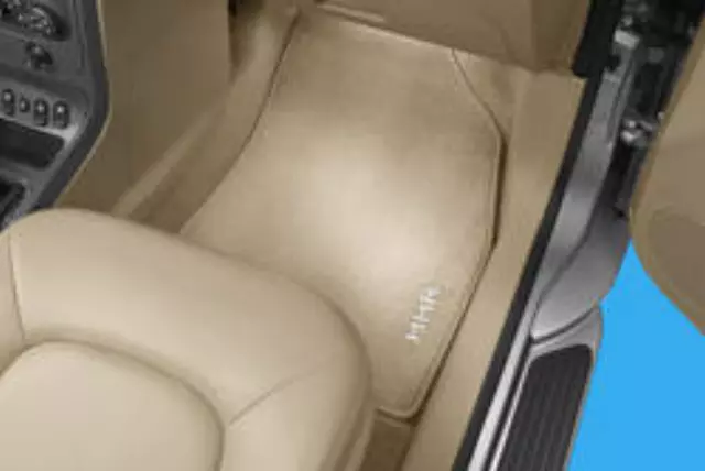 Floor Mats, Carpet - GM (19156104)