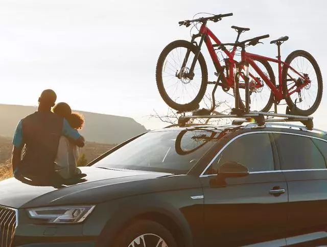 2000-2025 Audi - Aluminum Bike Rack - Upright Barracuda - Audi (80A-071-128)