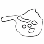 CM5Z6584A - : Valve Cover Gasket for Ford: EcoSport, Focus Image