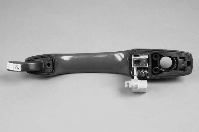 1NA53KLBAD - Body: Handle, Outside for Chrysler: Town &amp; Country | Dodge: Grand Caravan | Ram: C/V Image