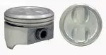 P15058020 - : Engine Piston Set for Enginetech Image