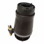 6L1Z5A891AA - Electrical: Air Spring for Lincoln: Navigator Image