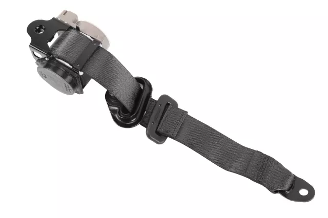 Outer Belt Assembly - GM (84846379)