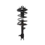 818290 - : PRT 818290 Suspension Strut and Coil Spring Assembly for PRT PERFORMANCE RIDE Image