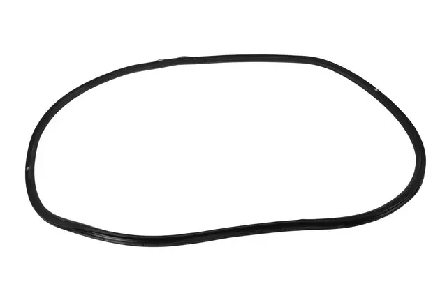20944482 - : Rear Side Door Weatherstrip for GM Image