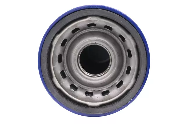 Filter - GM (19427701)