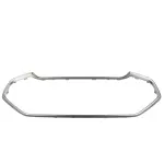 GN1Z8419BA - : Grille Surround for Ford: EcoSport Image