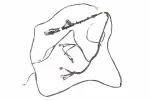 85619162 - : F Harness for GM Image