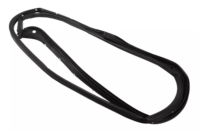 F Weatherstrip - GM (98484919)