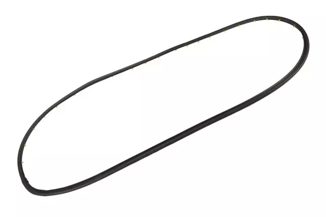 Door Weather-Strip - GM (20981181)