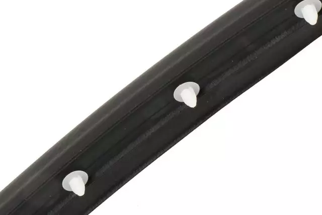 Front Passenger Side Door Weatherstrip - GM (84234954)