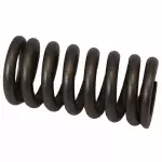 3C3Z6513AA - : 2003-2010 Ford - Valve Springs for Ford: E-350 Super Duty, E-450 Super Duty, Excursion, F-250 Super Duty, F-350 Super Duty, F-450 Super Duty, F-550 Super Duty Image