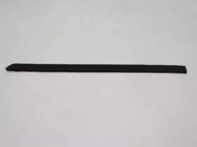 55156875AD - Body Sheet Metal Except Doors: Roof Molding for Mopar Image