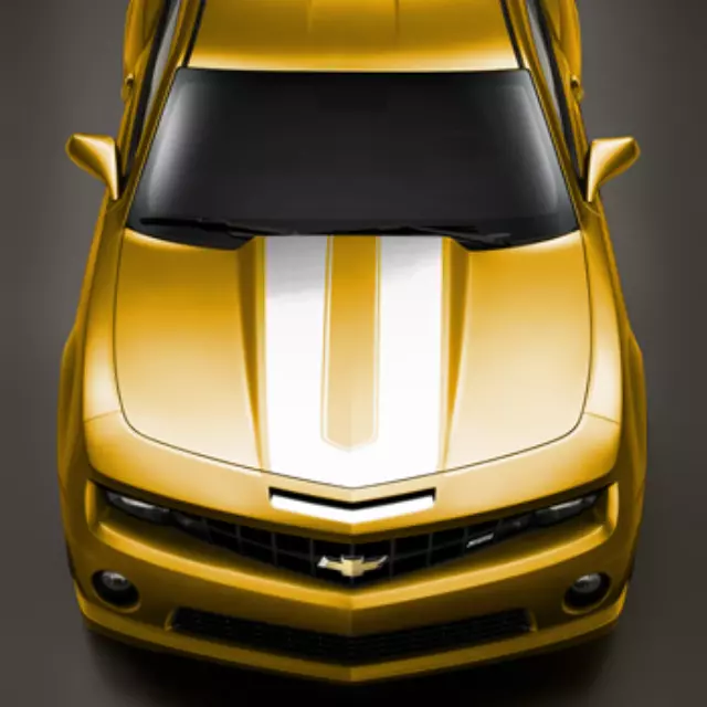 20968495 - Exterior: Decal/Stripe Package, Synergy Stripes for Chevrolet: Camaro Image