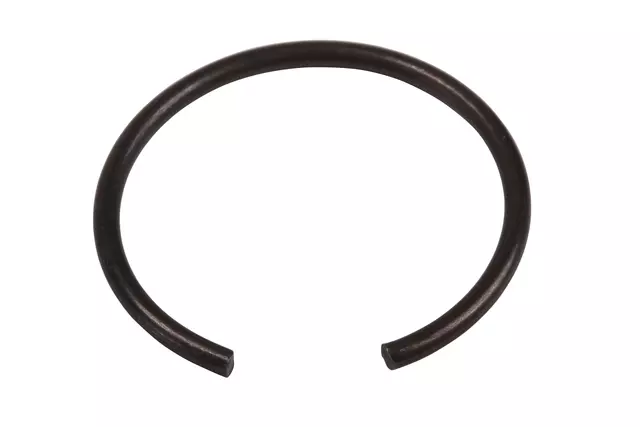 24299327 - : F (S)Ring for GM Image