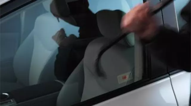 Vehicle Intrusion Protection - Toyota (PT398-12091)