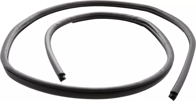 769219DJ1A - : Weather-Strip On Body for Nissan: Maxima Image