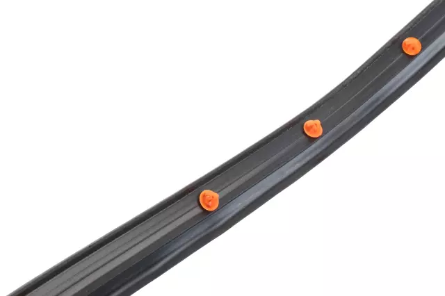 42440845 - Body: Door Weather-strip for Chevrolet: Blazer Image