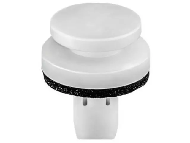 Tail Lamp Assembly Retainer - Ford (W713579-S300)