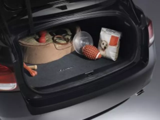 Carpet Trunk Mat - Lexus (PT919-50090-02)