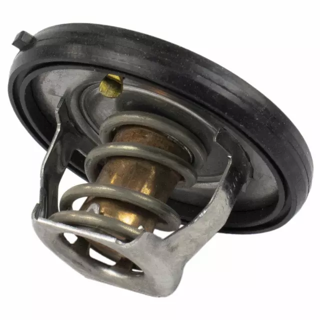 Thermostat Assembly - Ford (QRT63)