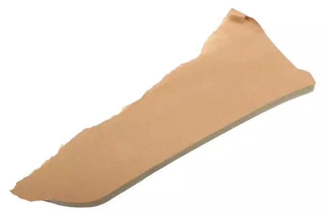 84027525 - : Passenger Side Rear Seat Back Pad for GM Image