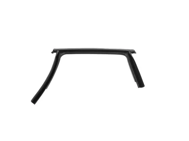 Door Glass Weatherstrip, Left - Mopar (68251793AC)