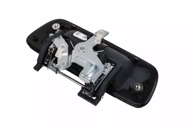 25954875 - Body: Handle for Chevrolet: Colorado | GMC: Canyon Image