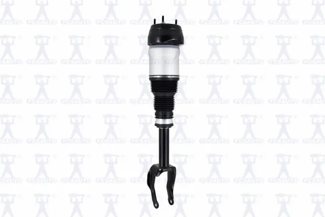 99060 - : Focus Auto Parts Air Suspension Strut for Focus Auto Parts Image