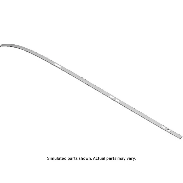 84301210 - Body: Roof Molding for Chevrolet: Traverse Image