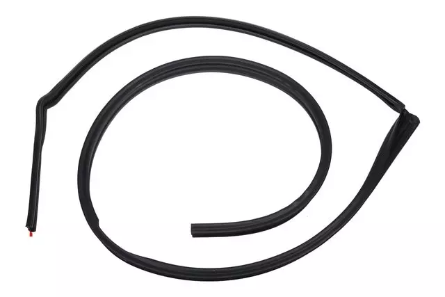 10361066 - Body: Drip Weather-strip for GM Image