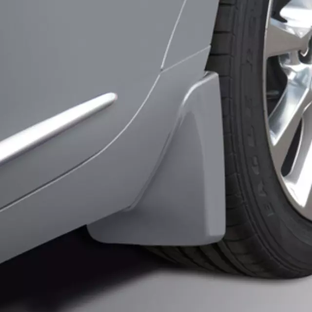 Splash Guards, Rear Molded - GM (23450609)