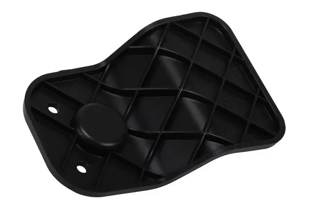 2021-2025 GM - Assist Step Shield - GM (84561282)