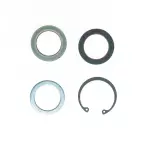 8717 - Steering: STG. GEAR LWR PITMAN SHAFT SEAL KIT for Edelmann Image